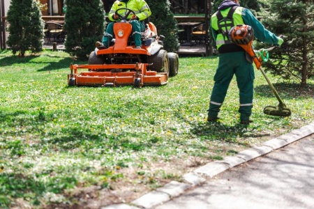 Comment choisir un paysagiste professionnel pour sublimer votre jardin ?