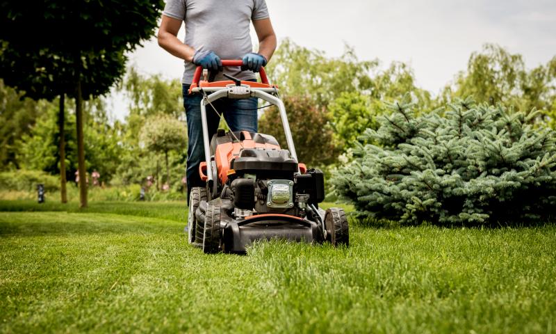Les différentes techniques de dessouchage pour libérer votre terrain