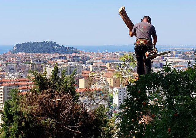 Jardinier Elagueur, Dessouchage & Abattage Arbres, Nice